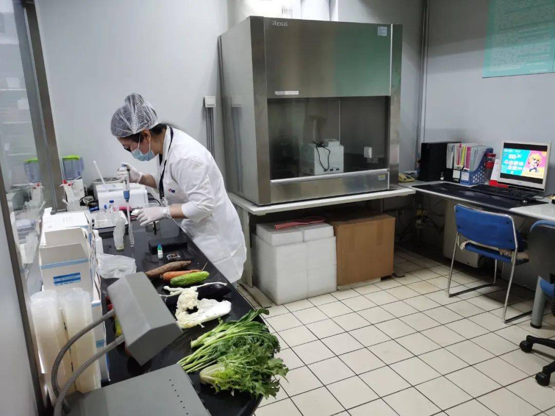 乌恰食品检测实验室装修方案